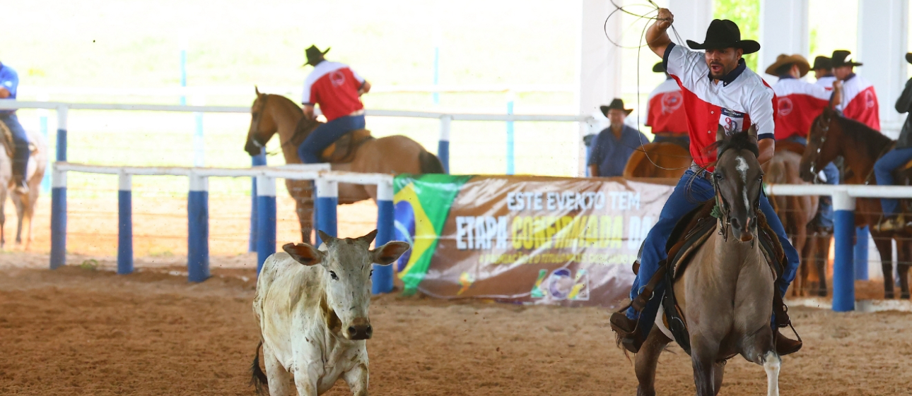 Os 3 Erros Que Travam 90% dos Laçadores